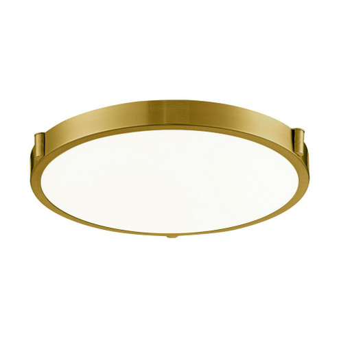 Floyd 17-in Brushed Gold LED Flush Mount (461|501122BG-LED)