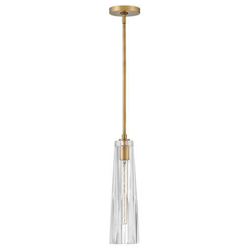 Large Adjustable Pendant (88|FR31107HBR-CL)