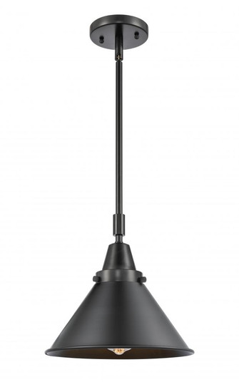 Briarcliff - 1 Light - 10 inch - Matte Black - Mini Pendant (3442|447-1S-BK-M10-BK)