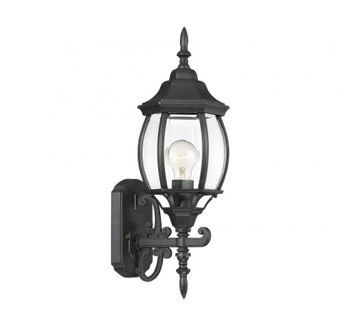 1-Light Outdoor Wall Lantern in Black (8483|M50054BK)