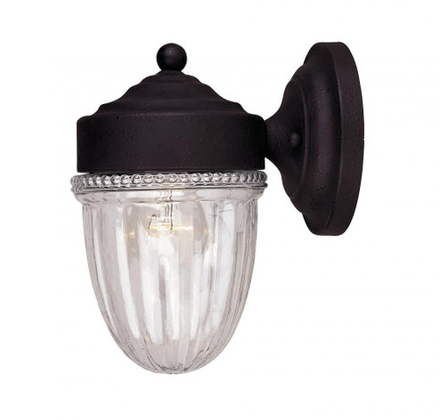 1-Light Outdoor Wall Lantern in Textured Black (8483|M50060TB)
