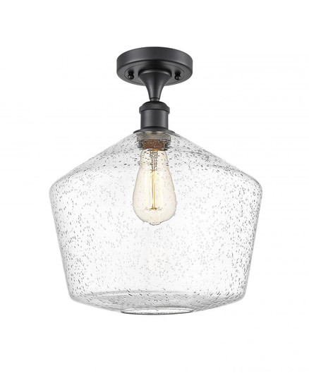 Cindyrella - 1 Light - 12 inch - Matte Black - Semi-Flush Mount (3442|516-1C-BK-G654-12-LED)