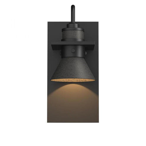 Erlenmeyer Dark Sky Friendly Outdoor Sconce (65|307716-SKT-80-20)