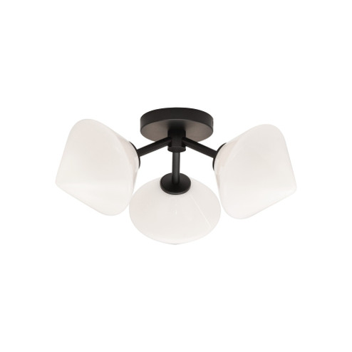 NOVO Flush Mounts (3605|X81743BKOP)