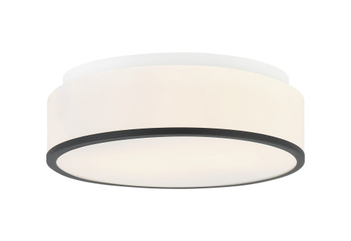 Echo Flush Mounts (3605|M15802MB)