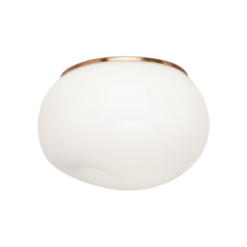 GELASIN Flush Mounts (3605|M14021AGOP)