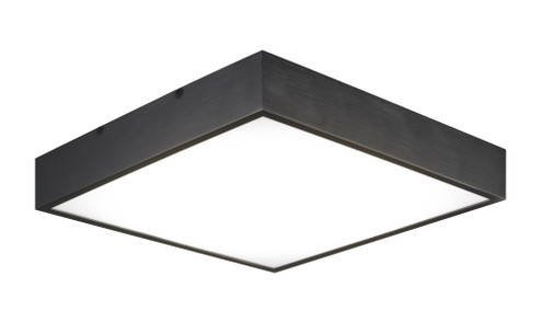 Kashi Flush Mounts (3605|M13411OB)
