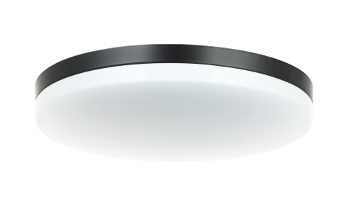 Orion Flush Mounts (3605|M12002BK)