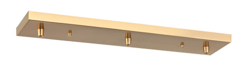 Multi Ceiling Canopy (Line Voltage) 120V Line Voltage (3605|CP0203AG)