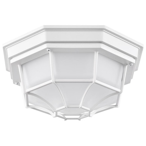 LED Spider Cage Fixture; White Finish with Frosted Glass (81|62/1399)