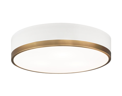 Trydor Flush Mounts (3605|M14303WHAG)