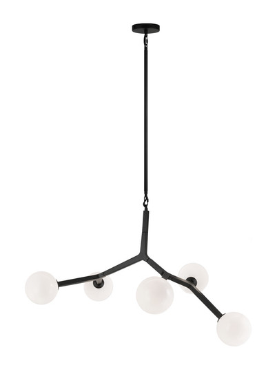 Rami Chandelier (3605|C81515BKOP)