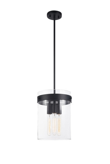 Zale Pendant (3605|C78403BK)