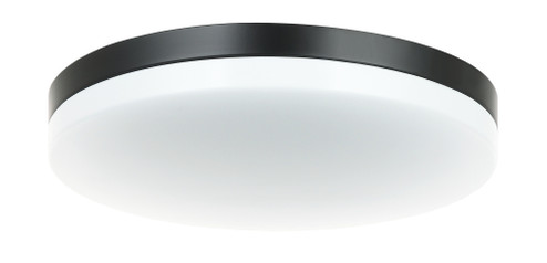 Orion Flush Mounts (3605|M12001BK)