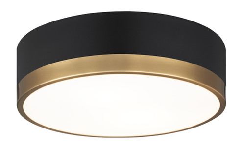 Trydor Ceiling Mount (3605|M14302BKAG)