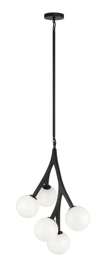 Rami Chandelier (3605|C81505BKOP)