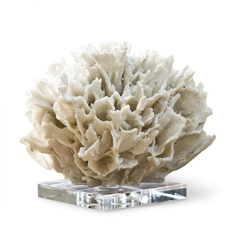 Regina Andrew Ribbon Coral (White) (5533|20-1022)