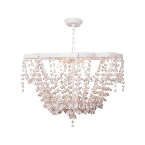 Regina Andrew Vanessa Basin Chandelier (5533|16-1233)