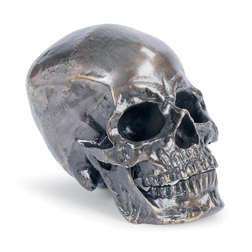 Regina Andrew Metal Skull (Antique Bronze) (5533|20-1034BZ)