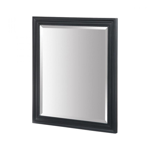 MIRROR (91|M-COLORADO-30BK)