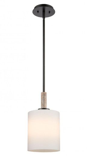 Paladin - 1 Light - 7 inch - Matte Black - stem hung - Mini Pendant (3442|442-1S-BK-W)