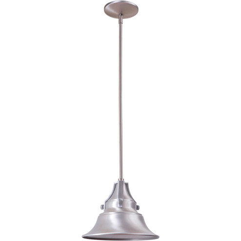 Union 1 Light Small Outdoor Pendant in Satin Aluminum (20|Z4401-SA)