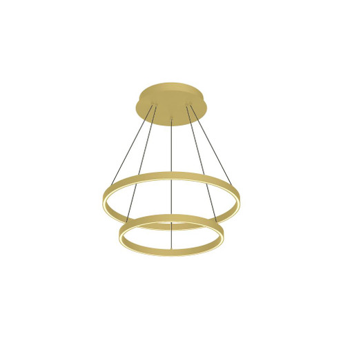 Cerchio 24-in Brushed Gold 2-Tier Dimmable LED Downlight Chandelier (461|CH87224-BG)