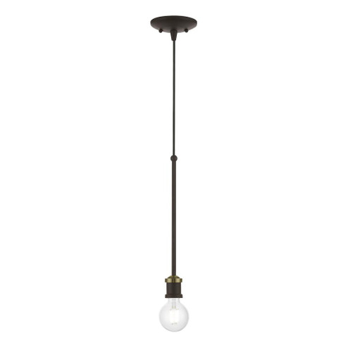 1 Light Bronze with Antique Brass Accents Single Pendant (108|47161-07)