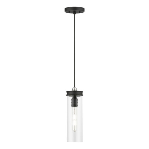 1 Light Black with Brushed Nickel Accent Mini Pendant (108|41236-04)