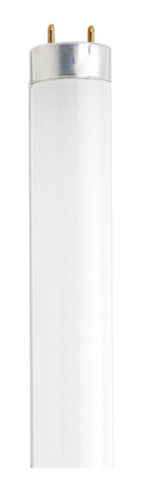18 Watt; T8; 24 Inch Cool White Fluorescent (27|S26513)