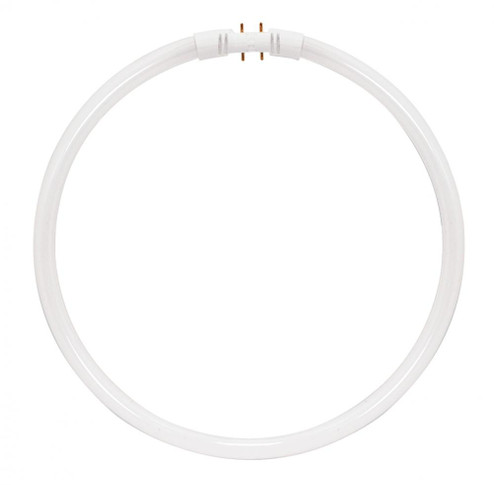 40 Watt; T5; Circline Fluorescent; 3500K Neutral White; 82 CRI; 2GX13 (4-Pin) base (27|S8159)