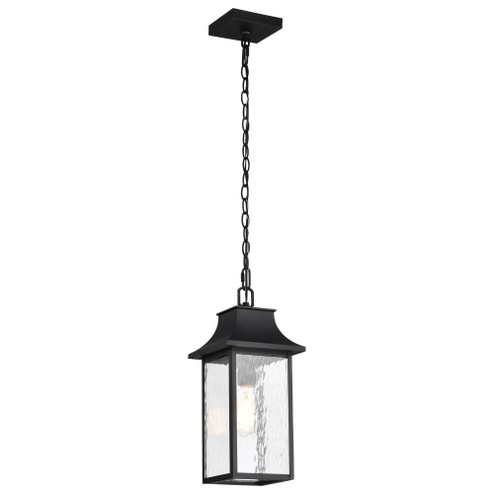 Austen Collection Outdoor 17 inch Hanging Light; Matte Black Finish with Clear Water Glass (81|60/5996)