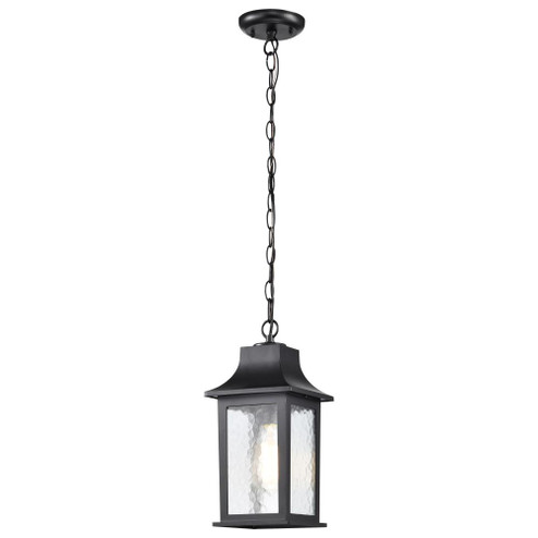 Stillwell Collection Outdoor 14 inch Hanging Light; Matte Black Finish with Clear Water Glass (81|60/5958)