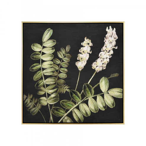 Botanical Study II Framed Wall Art (91|S0016-10169)