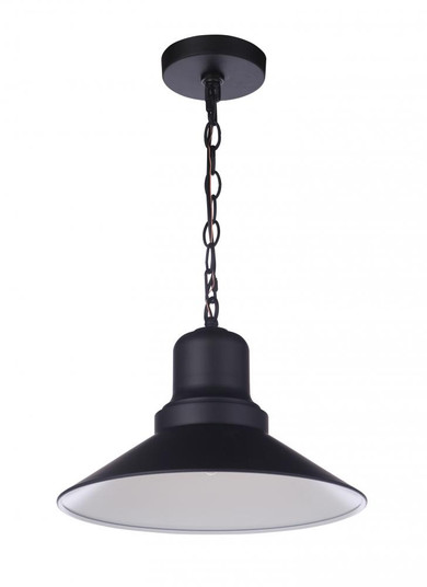 Singleton 1 Light 14'' Outdoor Pendant in Midnight (20|ZA5411-MN)