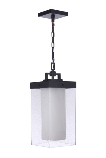 Hayner 1 Light Outdoor Pendant in Midnight (20|ZA5621-MN)