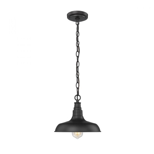 1-Light Outdoor Hanging Lantern Powder Coated Black (670|2952-PBK)