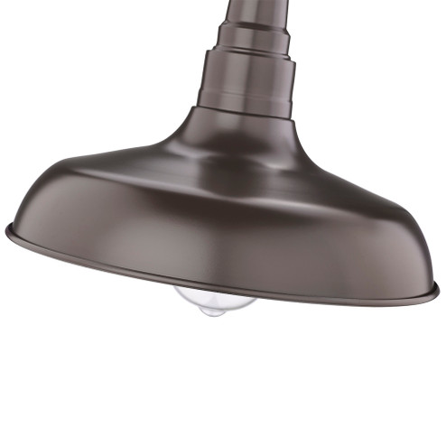 1-Light Outdoor Hanging Lantern Powder Coated Bronze (670|2952-PBZ)