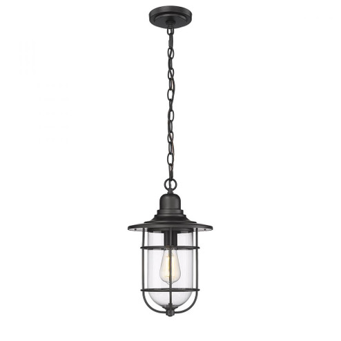 1-Light Outdoor Hanging Lantern Powder Coated Black (670|2932-PBK)