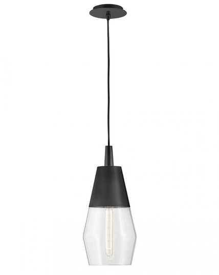 Small Single Light Convertible Pendant (1118101|83397BK)