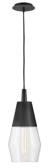 Small Single Light Convertible Pendant (1118101|83397BK)