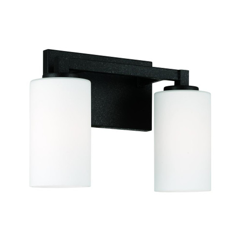 2-Light Vanity (42|119821BI-545)