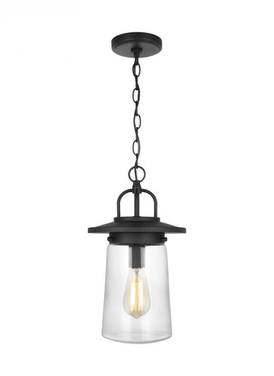 Tybee casual 1-light LED outdoor exterior ceiling hanging pendant in black finish with clear glass s (38|6208901EN7-12)