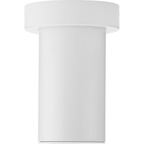 P550139-030-30 3IN LED CYLINDER CTC (149|P550139-030-30)