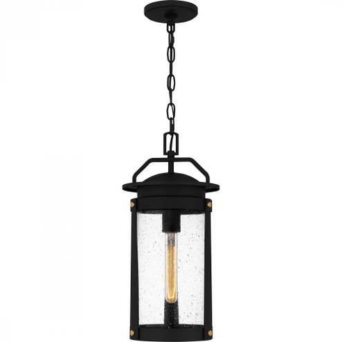 Clifton 1-Light Earth Black Outdoor Hanging Lantern (26|CLI1909EK)