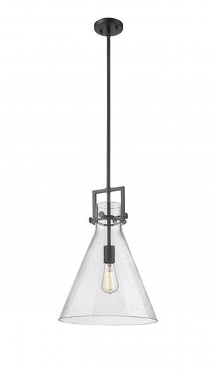 Newton Cone - 1 Light - 14 inch - Matte Black - Cord hung - Pendant (3442|411-1SL-BK-G411-14SDY)