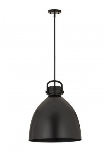 Newton Sphere - 1 Light - 16 inch - Matte Black - Multi Pendant (3442|410-1SL-BK-M412-16BK)