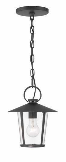 Andover 1 Light Matte Black Outdoor Pendant (205|AND-9203-CL-MK)