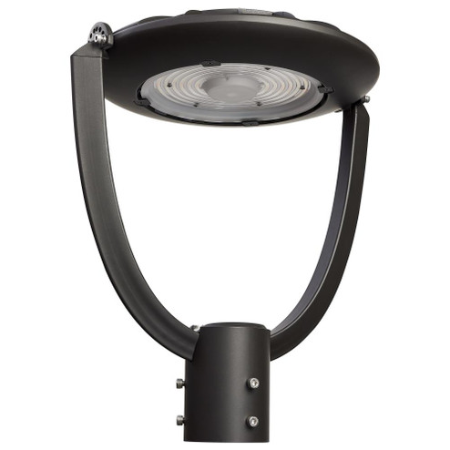 100 Watt Adjustable Post Top LED; CCT Selectable; 120-347 Volt; Bronze Finish (81|65/893)
