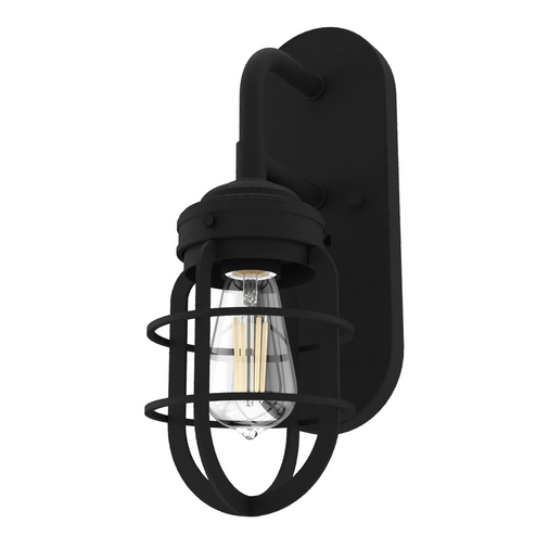 Hunter Starklake Natural Black Iron 1 Light Sconce Wall Light Fixture (4797|19668)